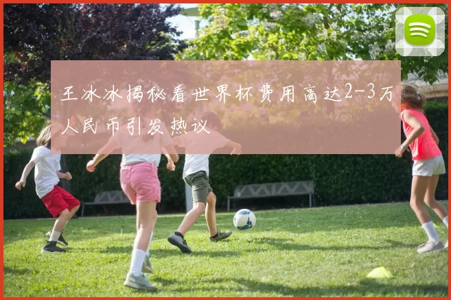 王冰冰揭秘看世界杯费用高达2-3万人民币引发热议