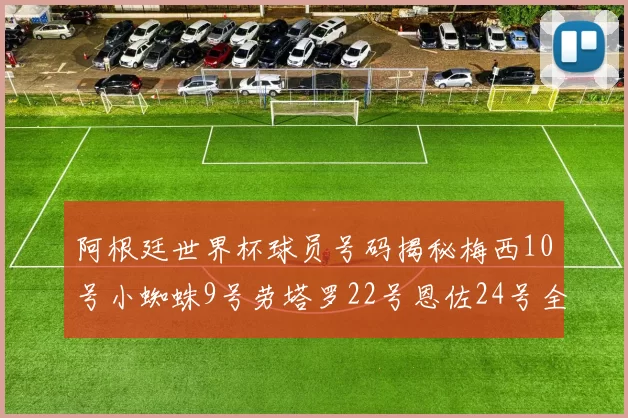 阿根廷世界杯球员号码揭秘梅西10号小蜘蛛9号劳塔罗22号恩佐24号全解析